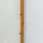 Λαμπάδα Κυρήθρα "Μελισσάκια"